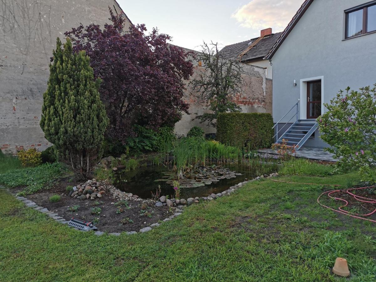 Fewo Rohleder De Mit 130M2 Und Garten Fuer 6Pers Mit 2 Bad Chociebuż Zewnętrze zdjęcie