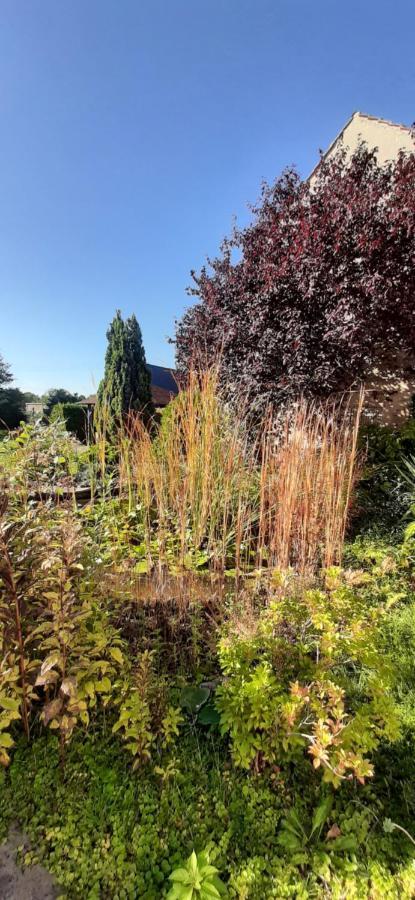 Fewo Rohleder De Mit 130M2 Und Garten Fuer 6Pers Mit 2 Bad Chociebuż Zewnętrze zdjęcie